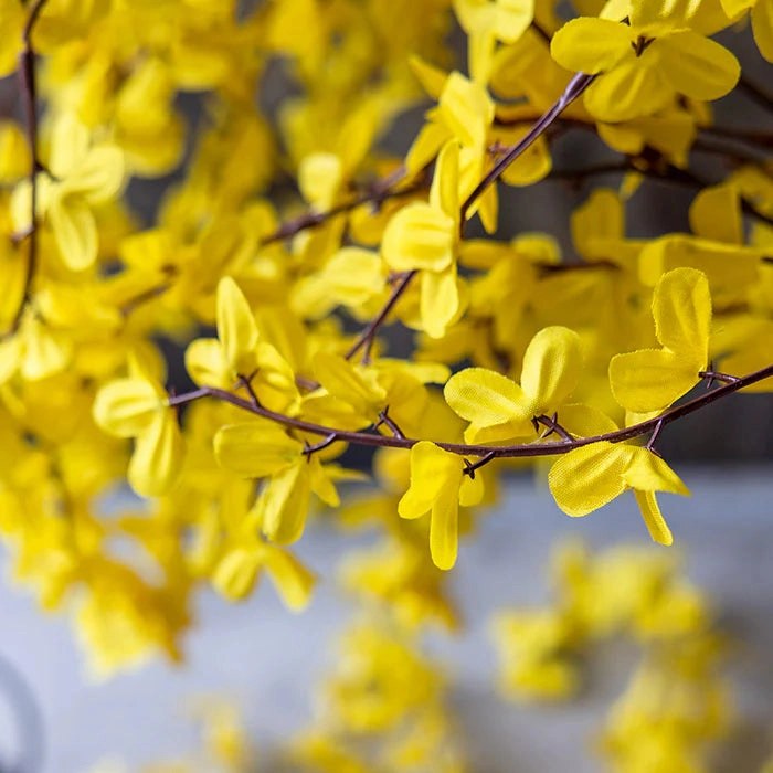 Forsythia Large Yellow Stem 90cm