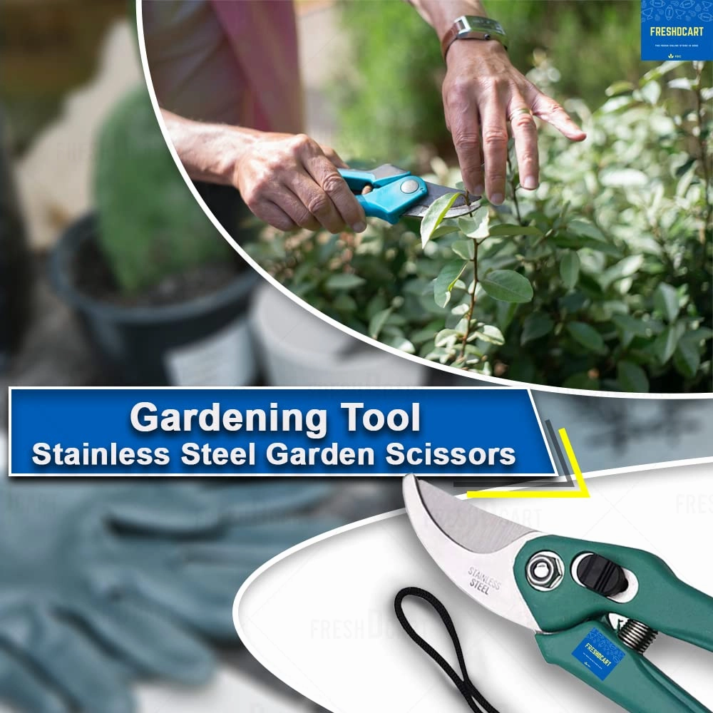 Garden Plant Branch Scissors Flower Cutting Cutter Pruning Bypass Secateurs Trimmer Carbon Steel Blade with Lock Set of 1