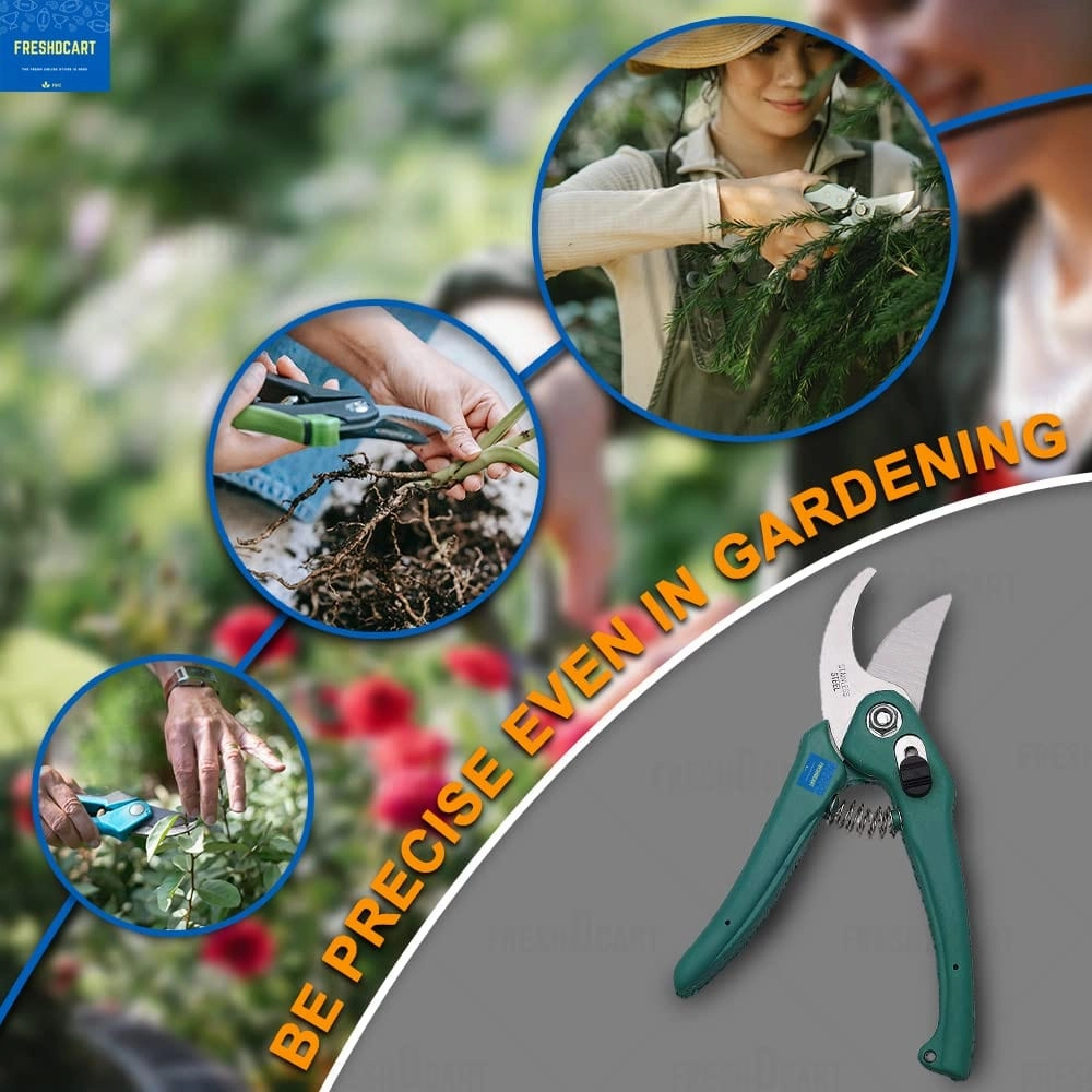 Garden Plant Branch Scissors Flower Cutting Cutter Pruning Bypass Secateurs Trimmer Carbon Steel Blade with Lock Set of 1