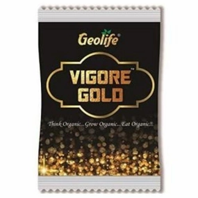 Geolife Vigore Gold,potted plant decor