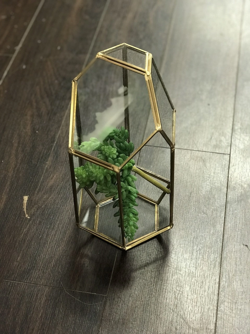 GEOMETRIC 9.5"x5" PLANTER GLASS TERRARIUM VASE (Gold)- GEO1