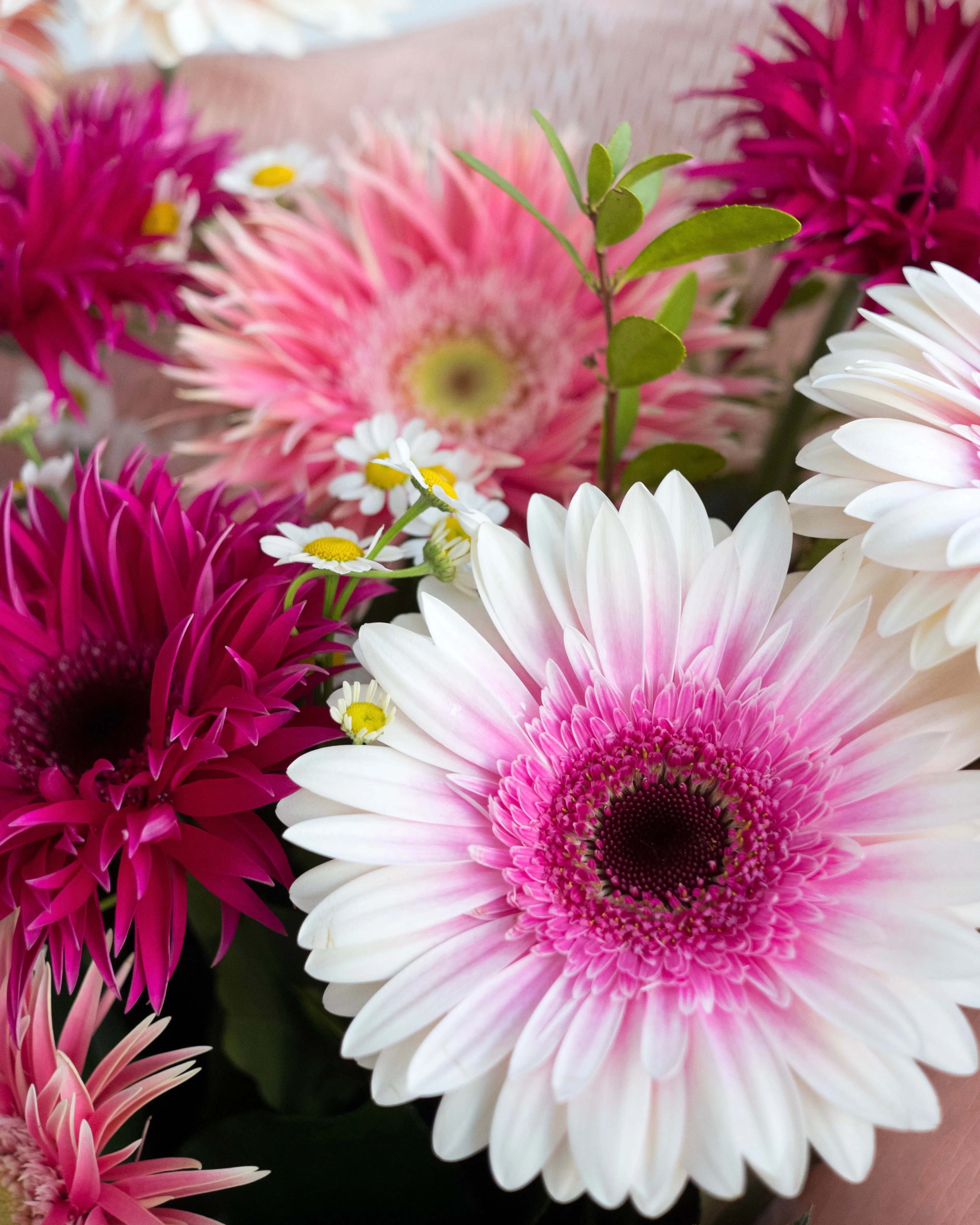 Gerbera Bouquet