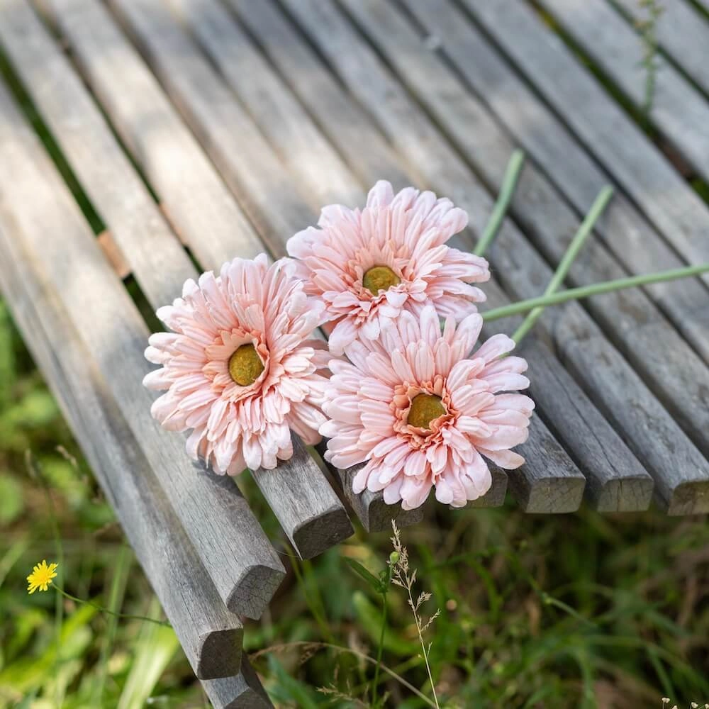 Gerbera en papier abricot