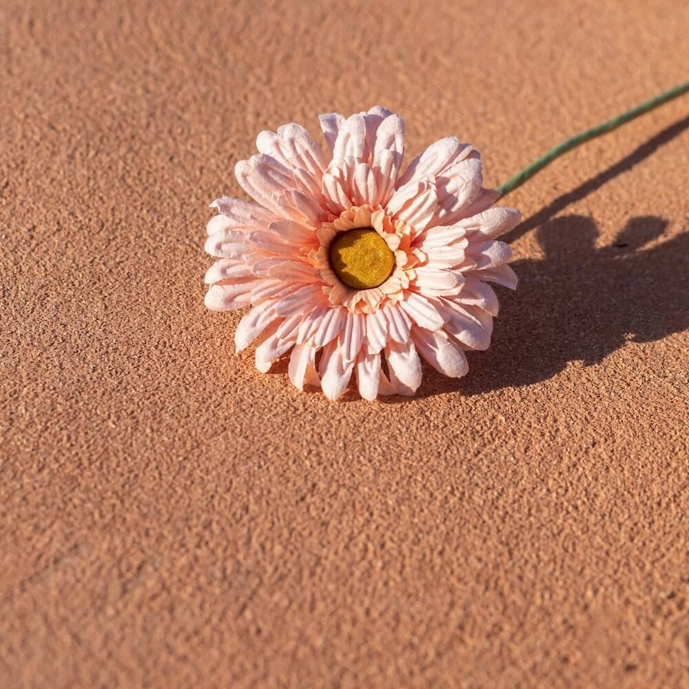 Gerbera en papier abricot