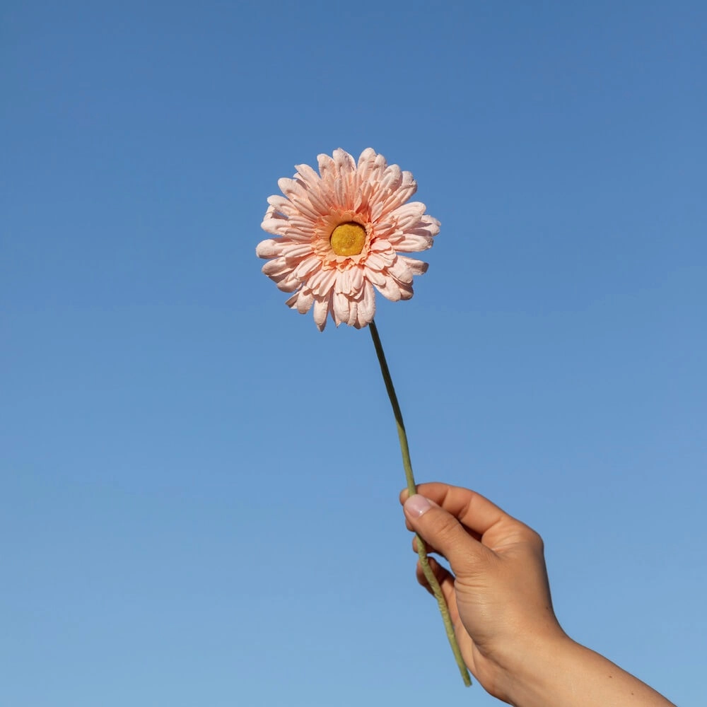 Gerbera en papier abricot