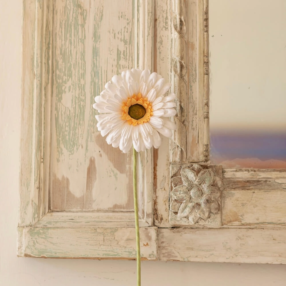 Gerbera en papier blanc