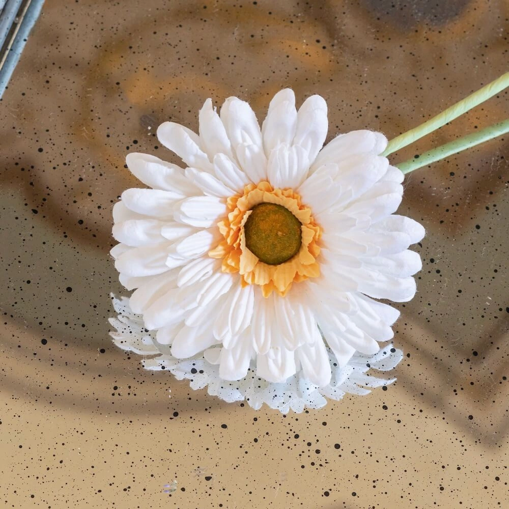 Gerbera en papier blanc