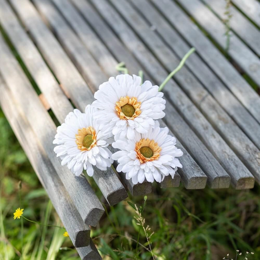 Gerbera en papier blanc