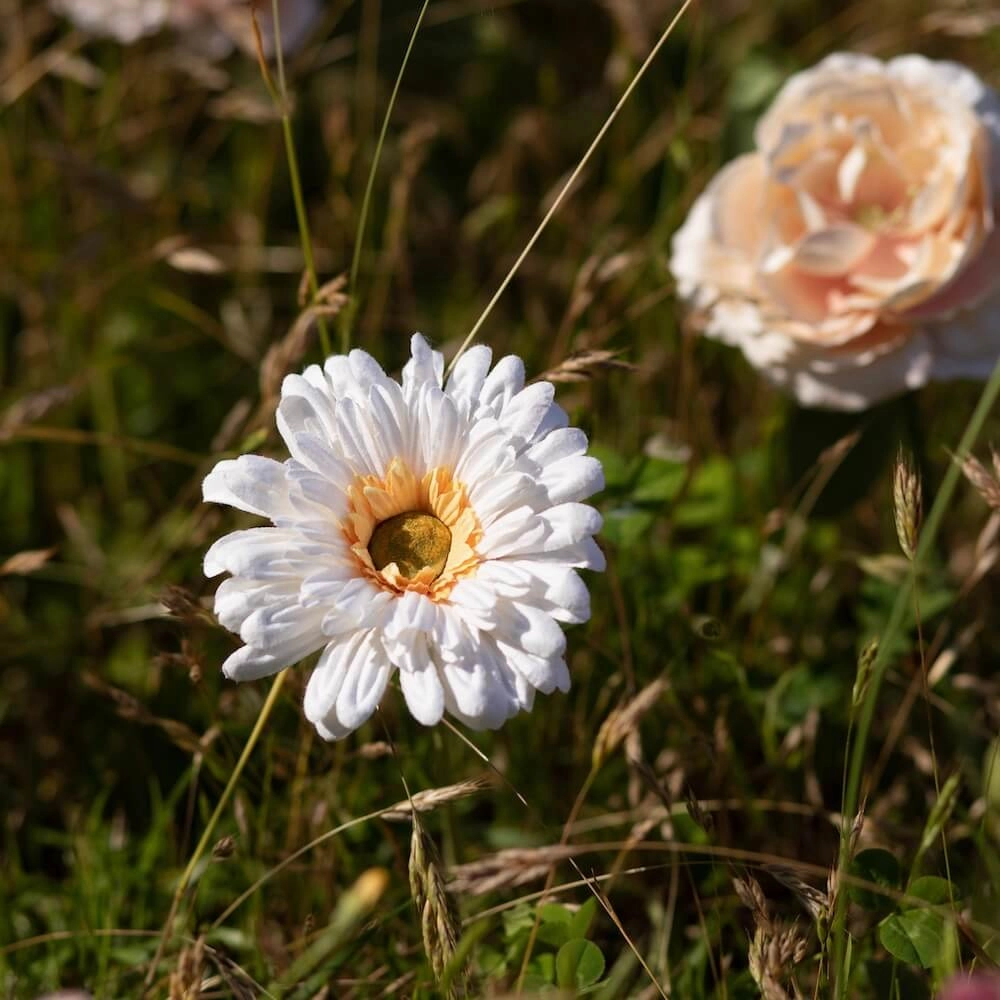 Gerbera en papier blanc