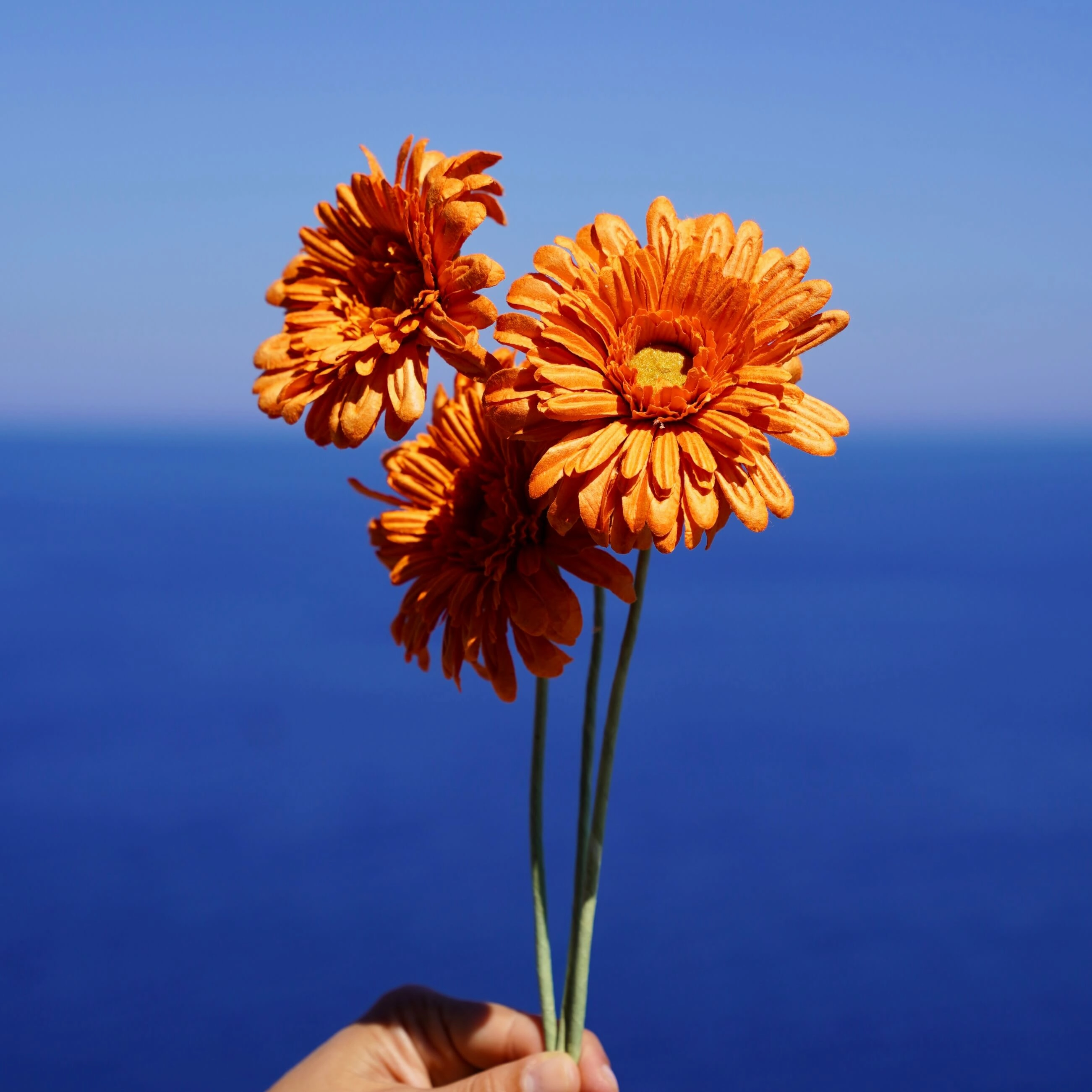 Gerbera en papier orange