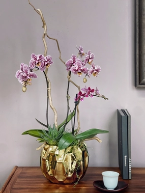 Gilded Orchid,funeral flower decor