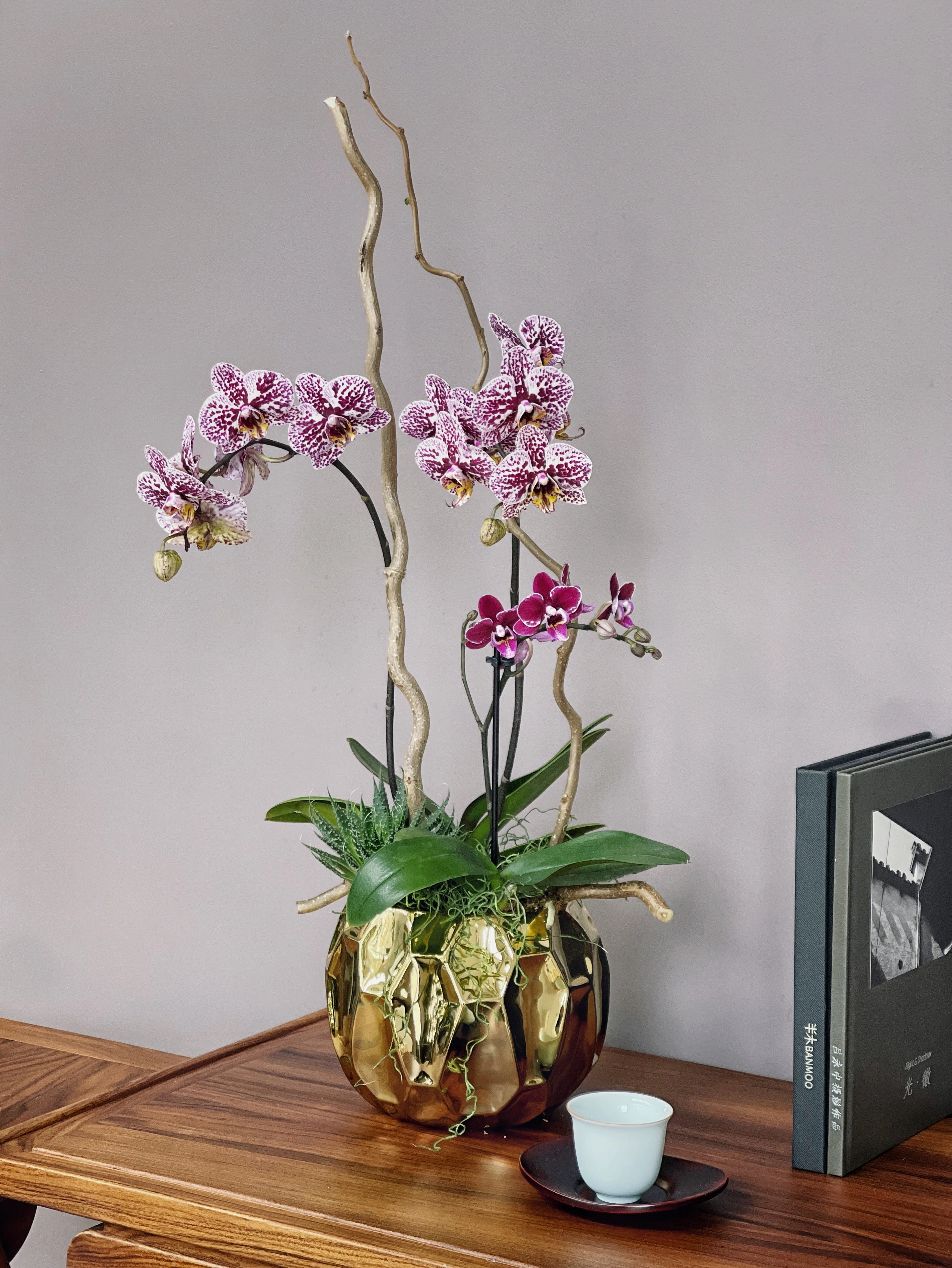 Gilded Orchid
