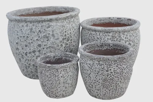 Gorgeia Planter - White Coral,terracotta plant pot