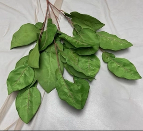 Grapefruit Green Salal Leaf salal Greenery realistic flower bouquet  