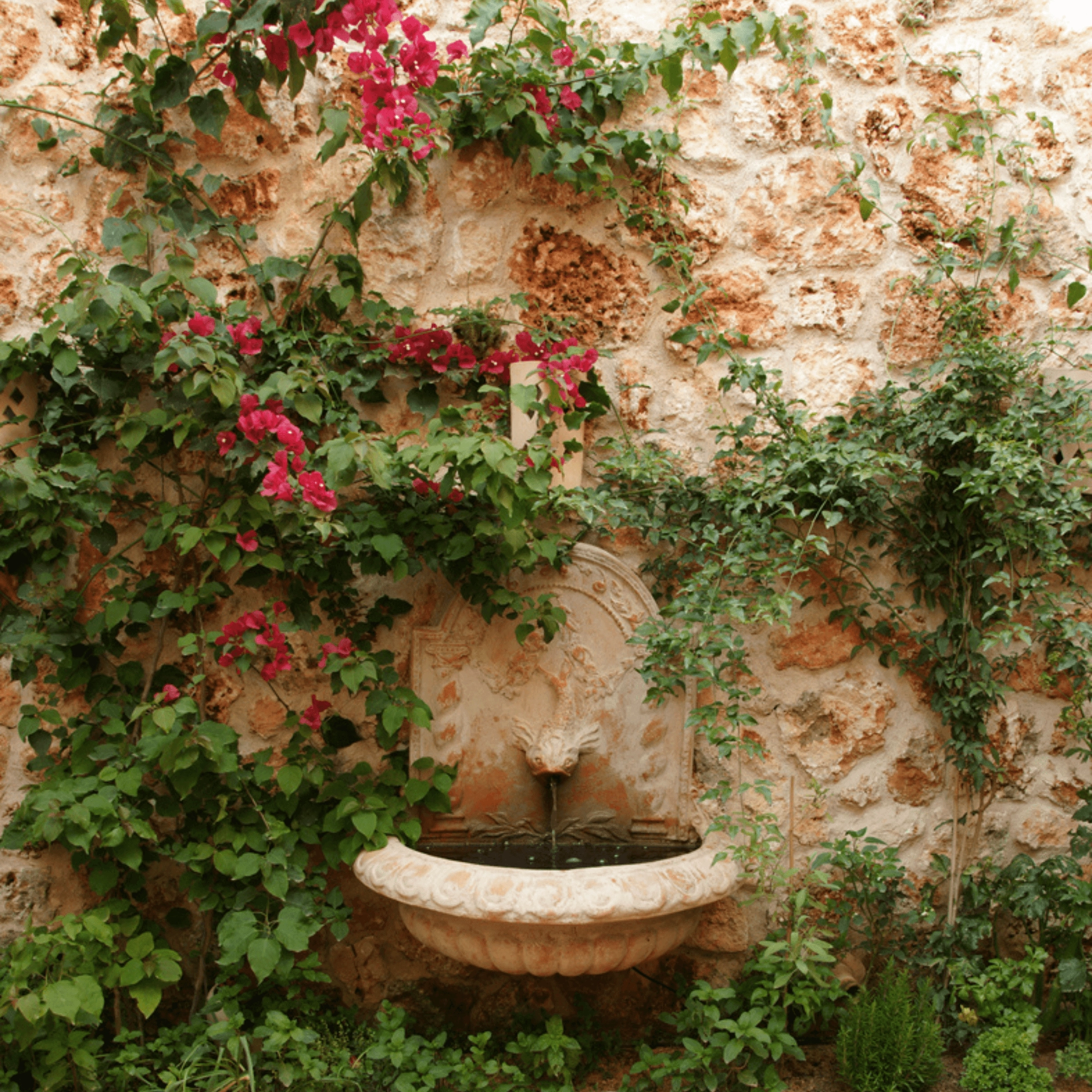 Great Dolphin Bowl Garden Fountain