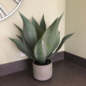 Green Aloe Vera Plant in Clay Pot 47cm,dried artificial flower