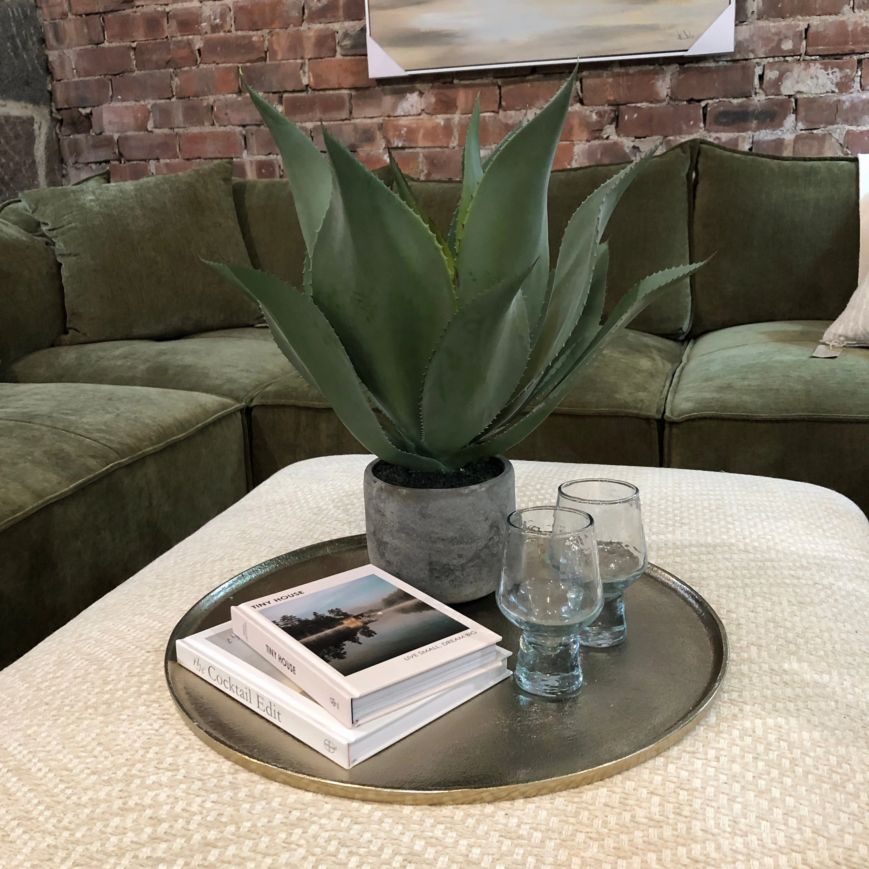 Green Aloe Vera Plant in Clay Pot 47cm
