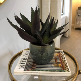 Green and Purple Spikey Aloe Vera in Cream Ribbed Clay Pot,dried artificial flower