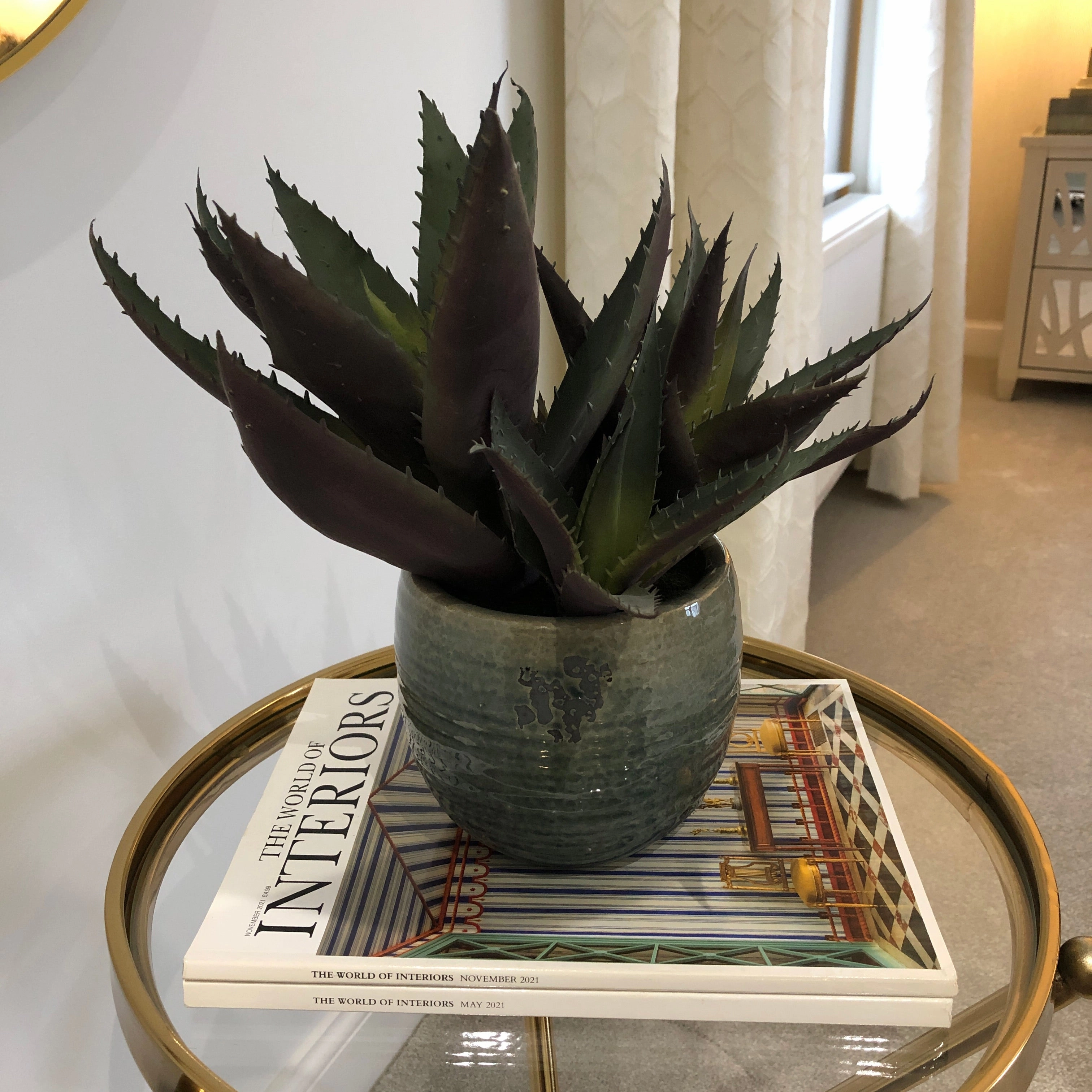 Green and Purple Spikey Aloe Vera in Cream Ribbed Clay Pot,dried artificial flower