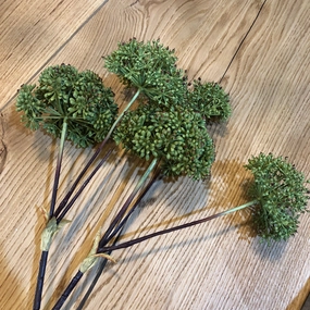 Green Angelica Seed Head Stem 76cm,dried artificial flower