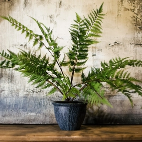 Green Bracken Fern Bush In Dark Grey Pot,dried artificial flower