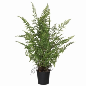 Green Fern Plant in Black Plastic Pot 95cm,dried artificial flower