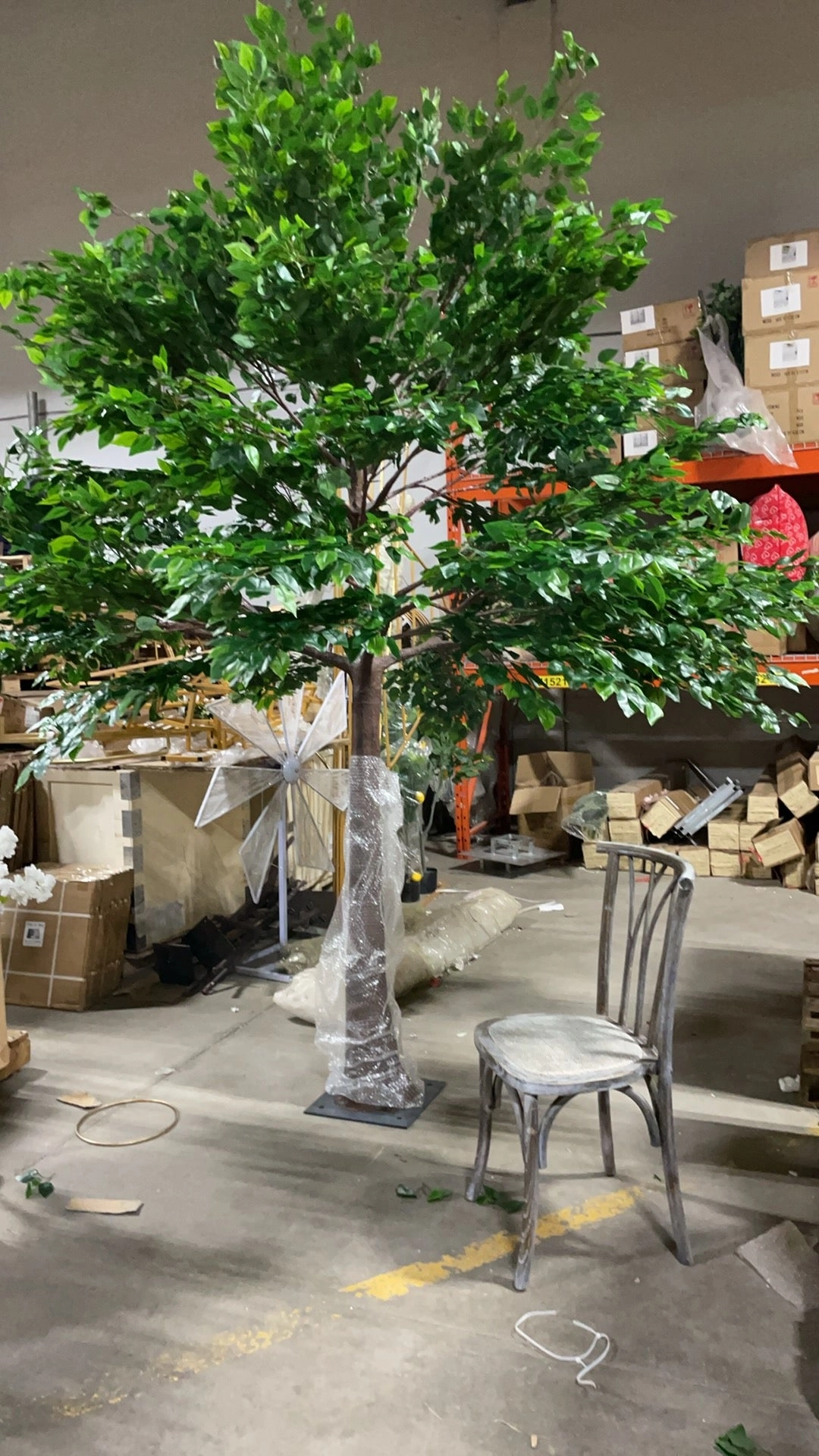Green Ficus leaf Tree 10 feet XDTMB16-21-3M
