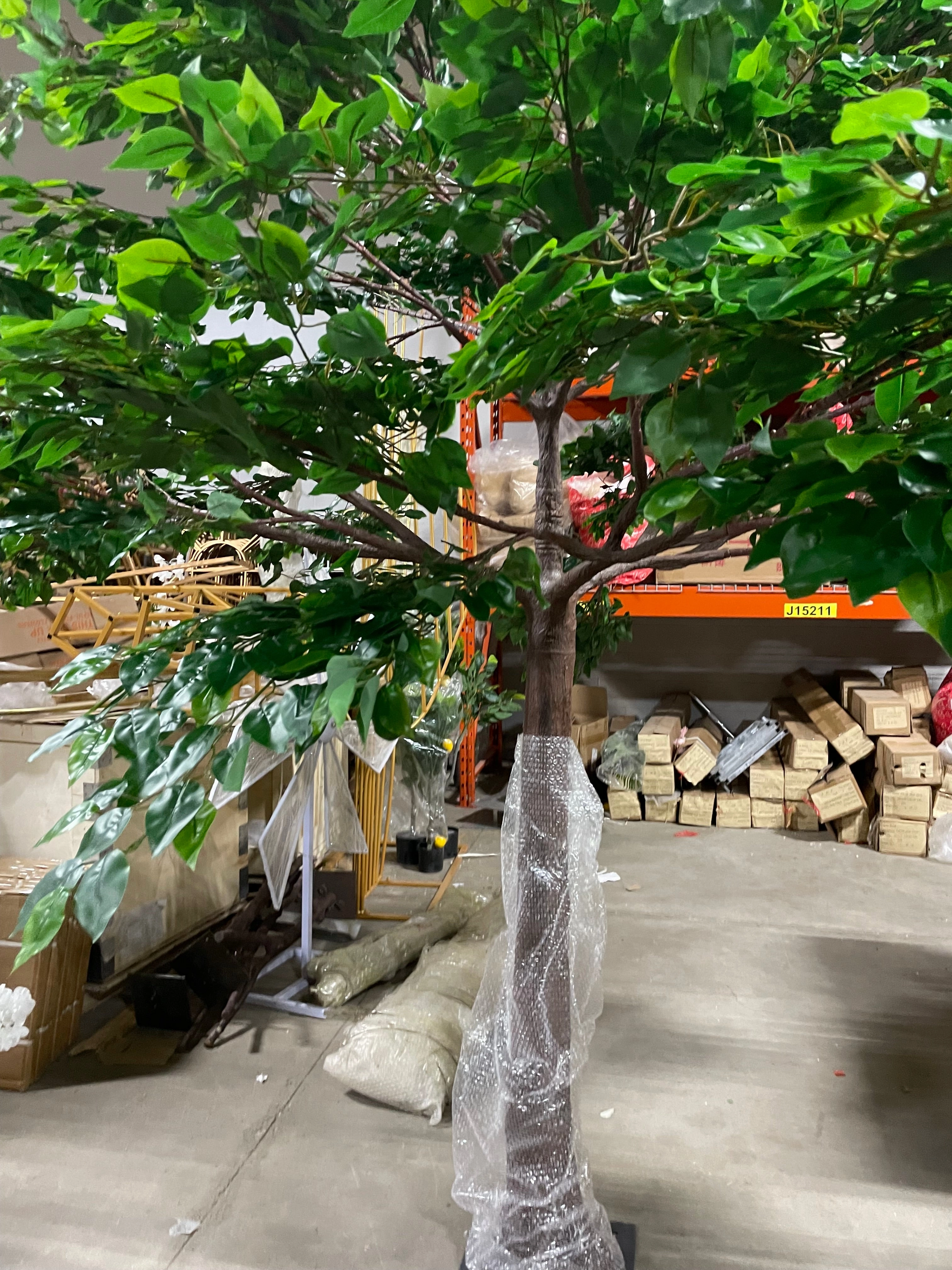 Green Ficus leaf Tree 10 feet XDTMB16-21-3M