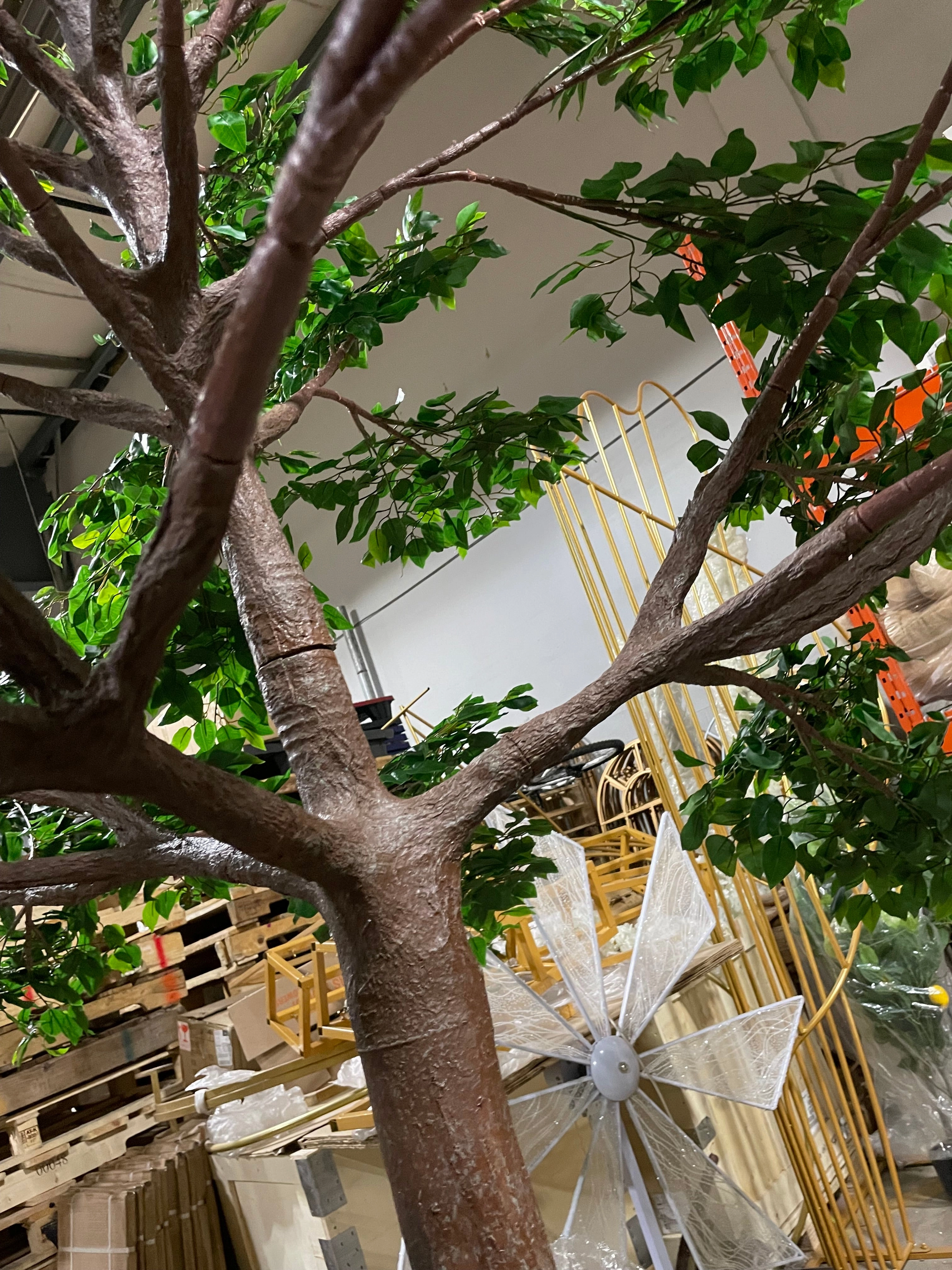 Green Ficus leaf Tree 10 feet XDTMB16-21-3M