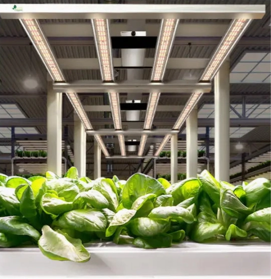 Green Fingers Grow Light 3000W LED Full Spectrum Indoor Veg Flower All Stage