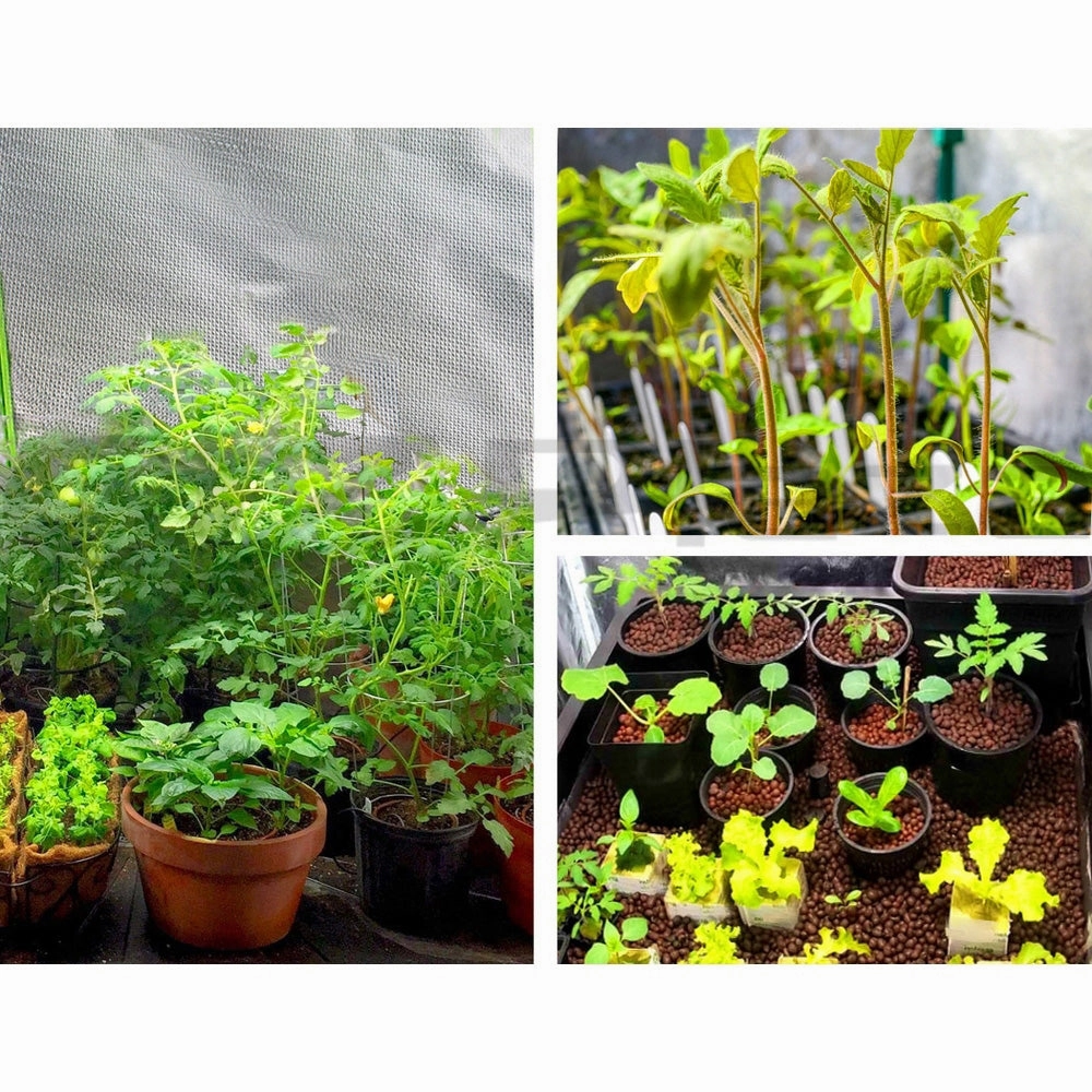 Green Fingers Hydroponics Grow Tent Kits Hydroponic Grow System Black 60X60X90CM 600D Oxford