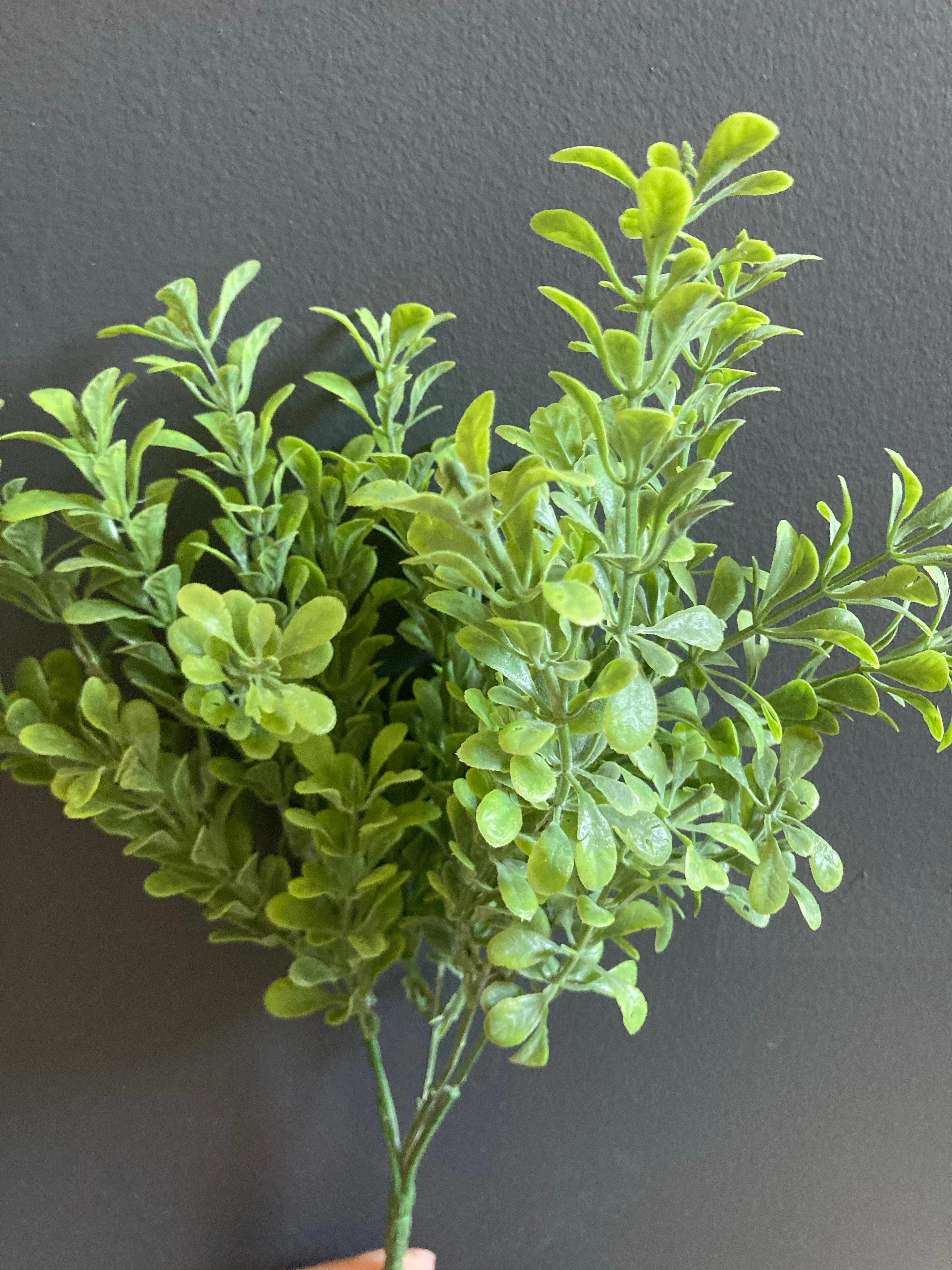 Green leaf bunch realistic flower bouquet  