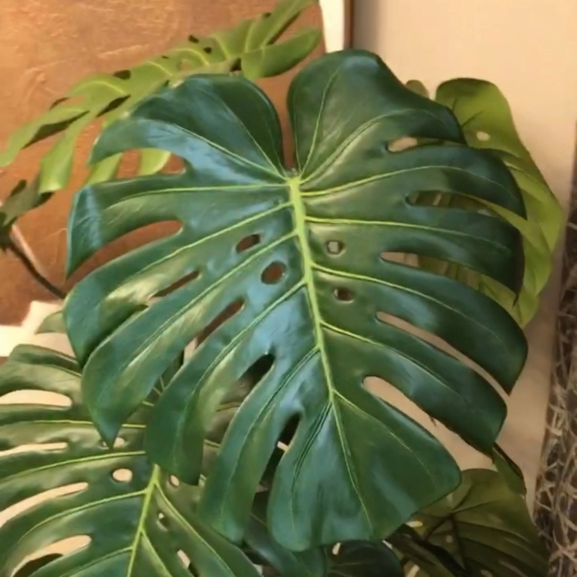 Green Monstera Tree in Black Plastic Pot 156cm,dried artificial flower