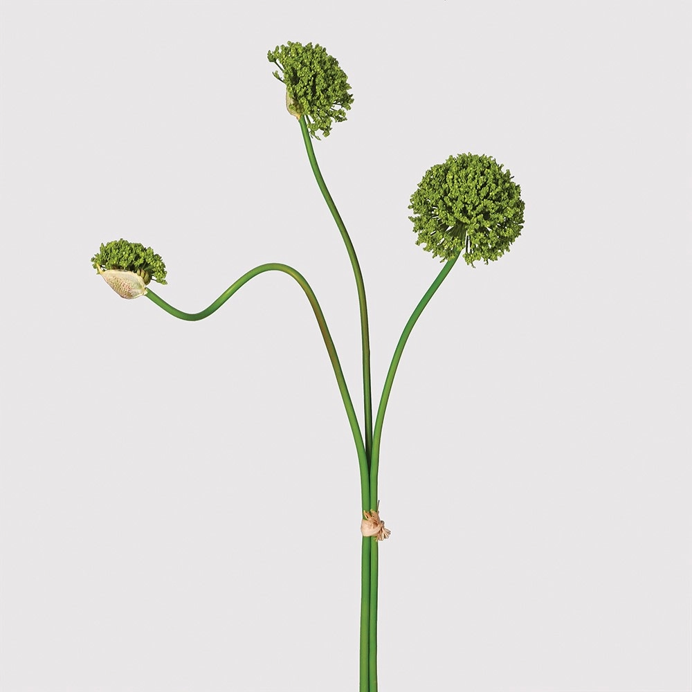 Green Multi Allium Bunch 70cm,dried artificial flower
