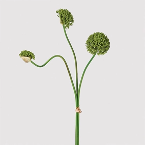 Green Multi Allium Bunch 70cm,dried artificial flower