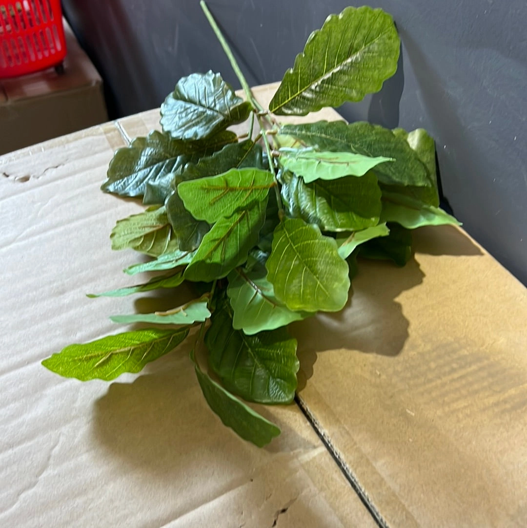 Green Oak Leaf Greenery Salal