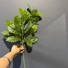 Green Oak Leaf Greenery Salal realistic flower bouquet  