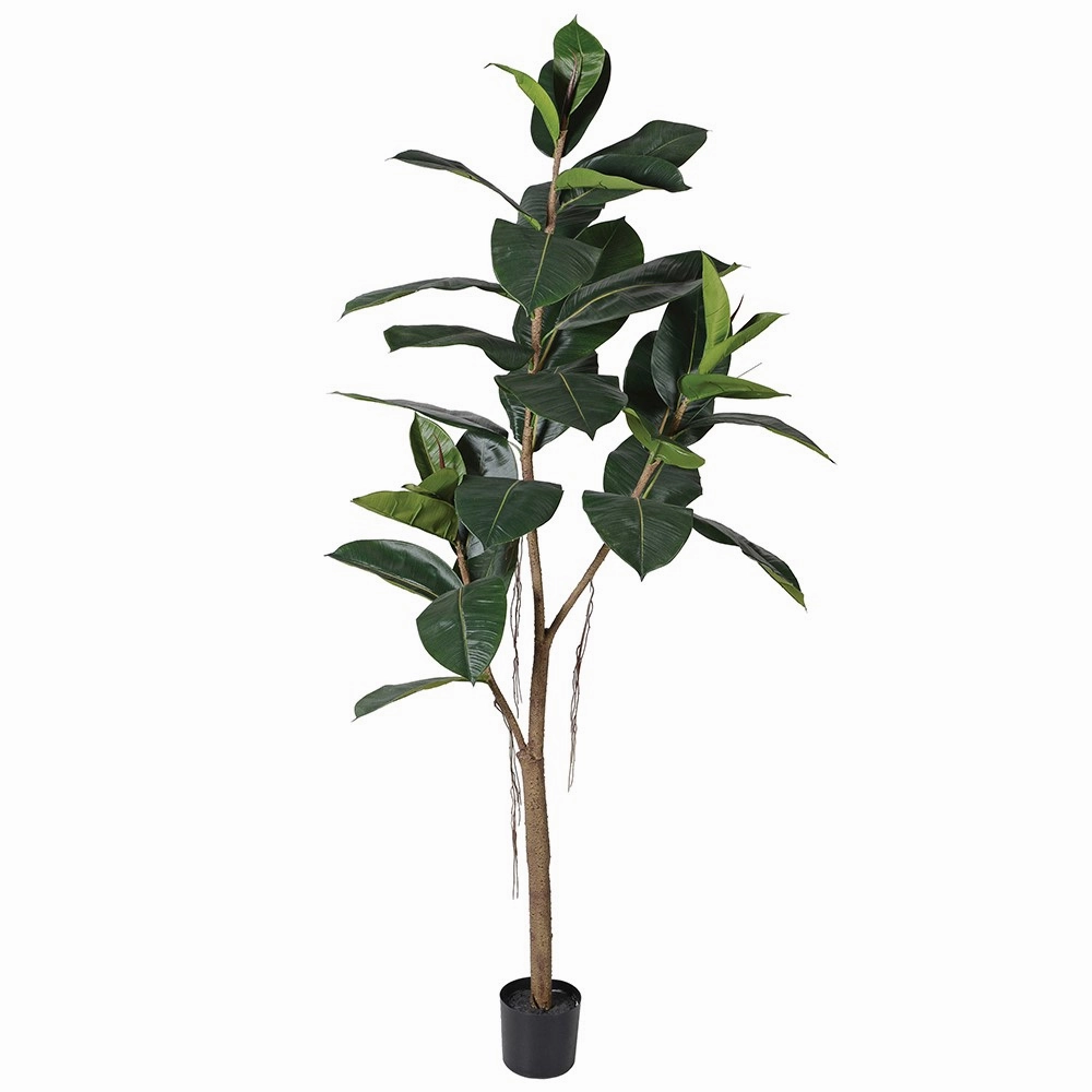 Green Rubber Tree in Black Plastic Pot 160cm,dried artificial flower