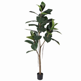 Green Rubber Tree in Black Plastic Pot 160cm,dried artificial flower
