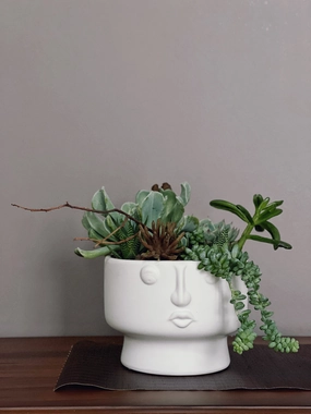 Green Serenity,funeral flower decor