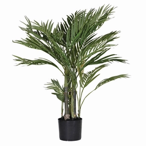 Green Small Areca Palm in Black Pot 88cm,dried artificial flower