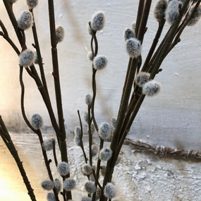 Grey Pussy Willow Spray with Leaves 88cm,dried artificial flower