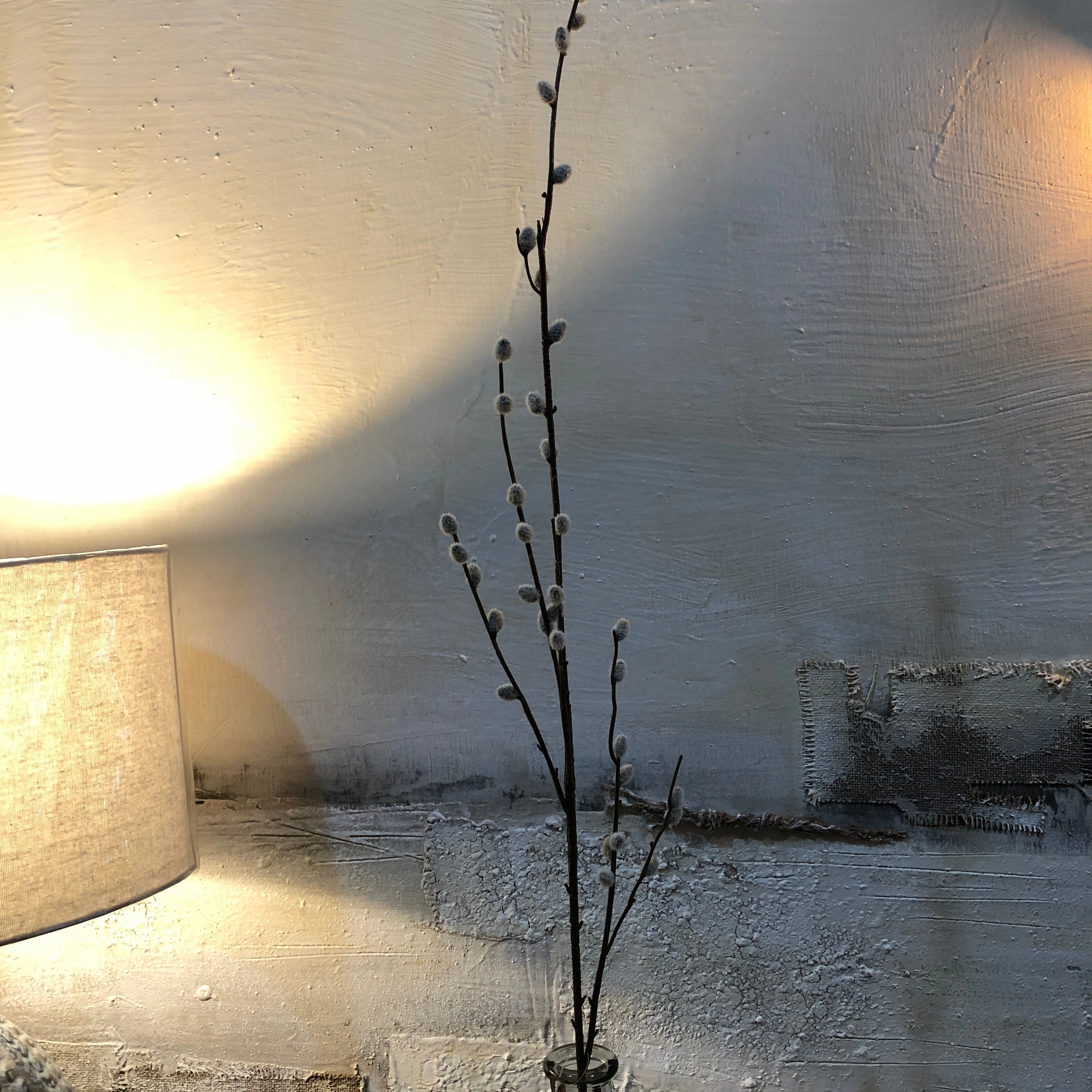 Grey Pussy Willow Spray with Leaves 88cm
