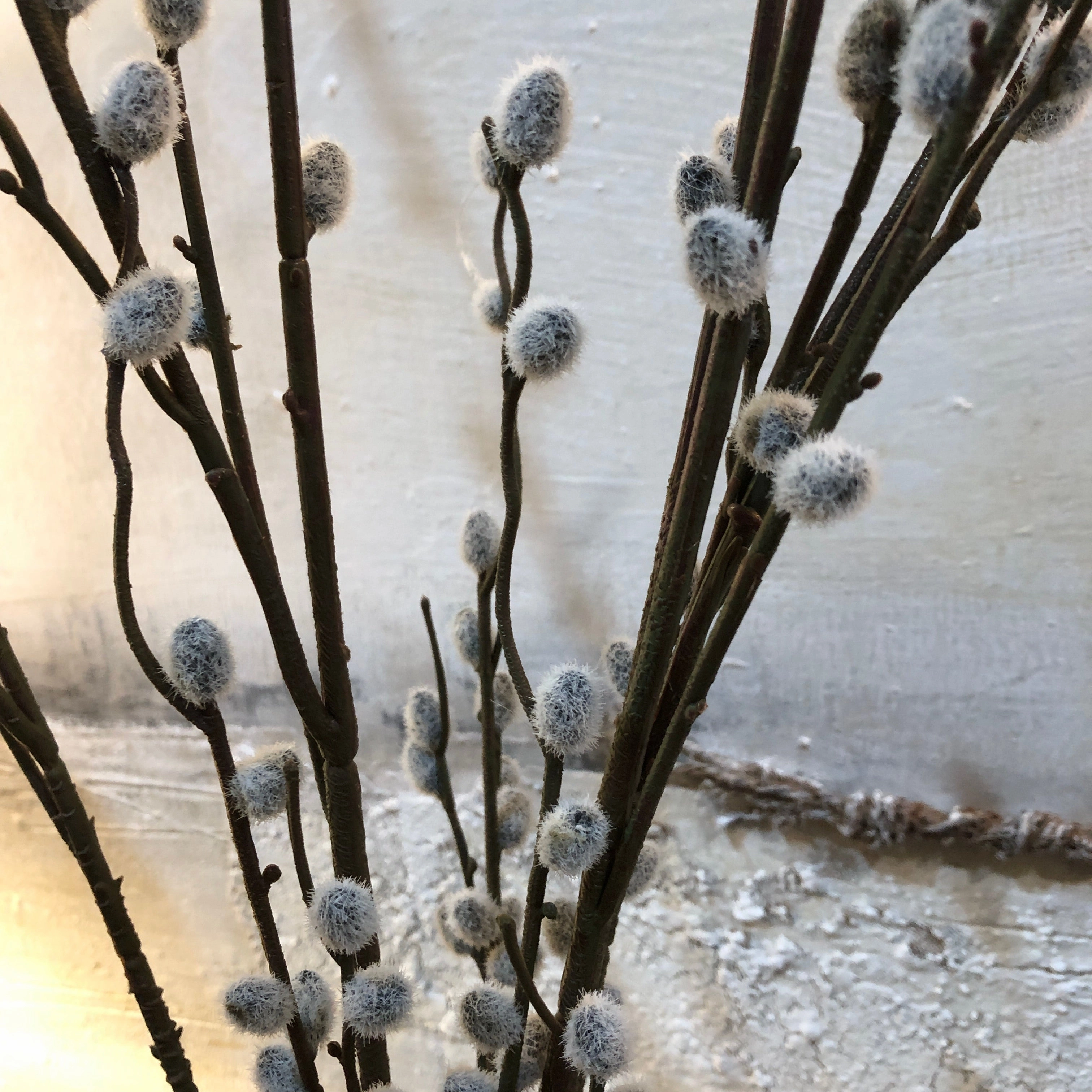 Grey Pussy Willow Spray with Leaves 88cm,dried artificial flower
