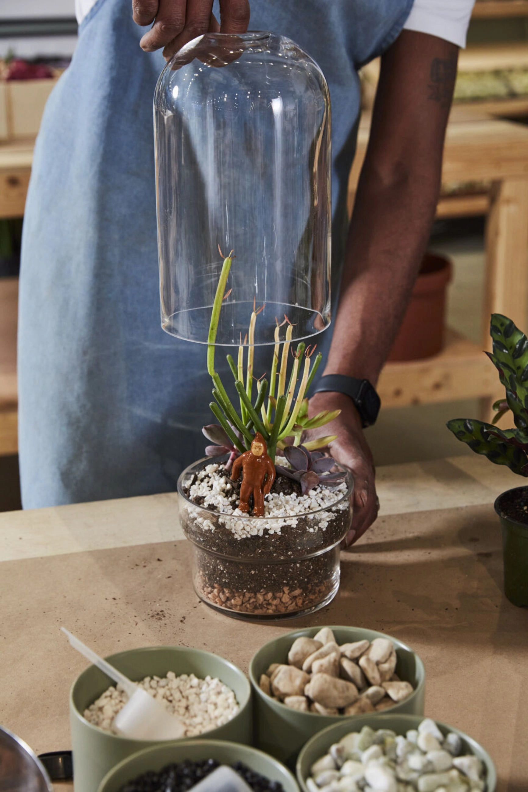 Griffith Terrarium Large