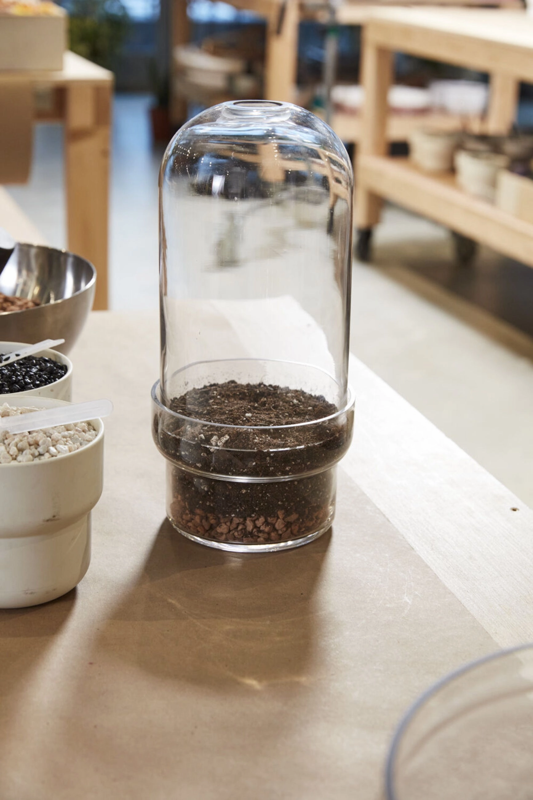 Griffith Terrarium Large