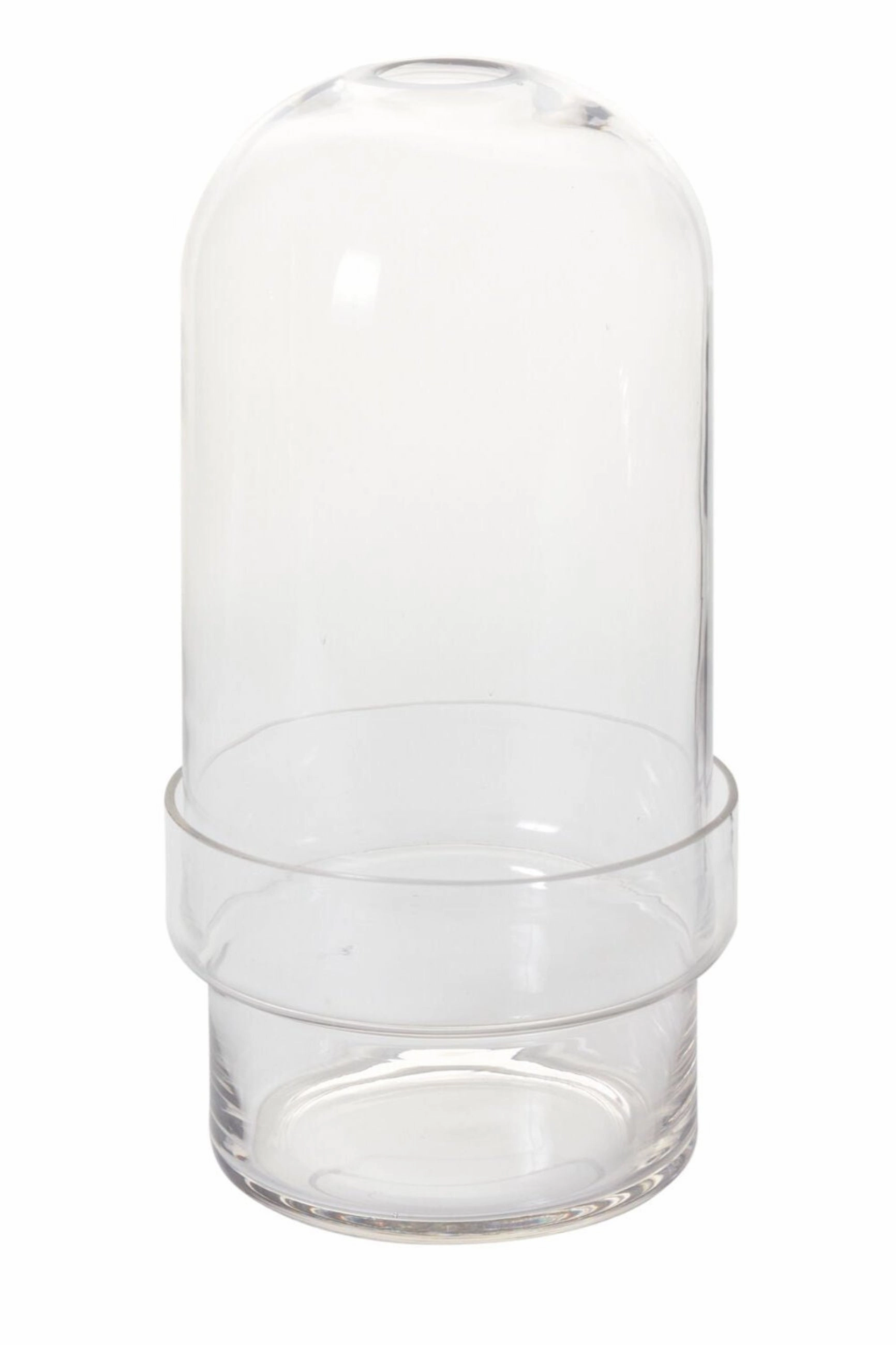 Griffith Terrarium Large