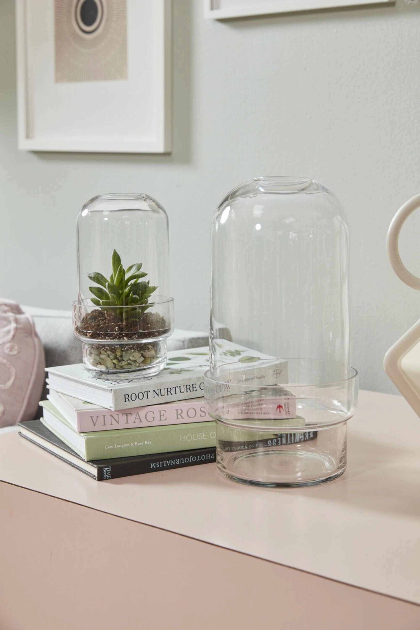 Griffith Terrarium Large