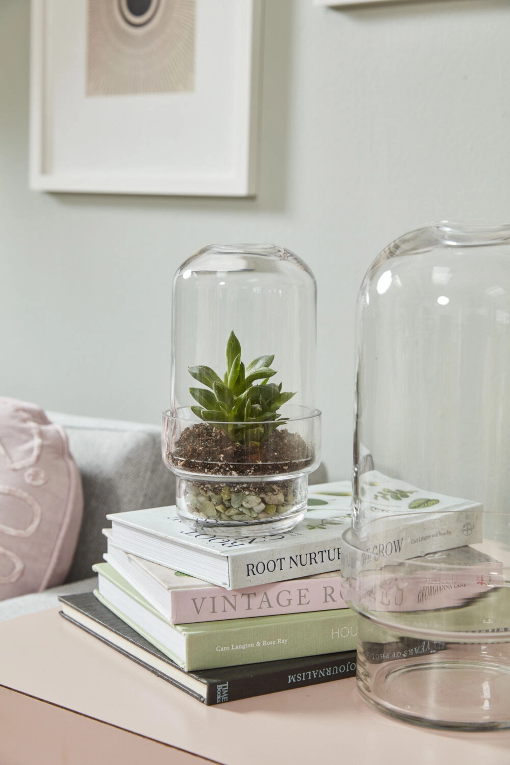 Griffith Terrarium Small