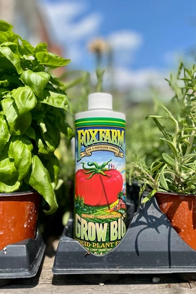 Grow Big Fertilizer FoxFarm 1pint,potted plant decor